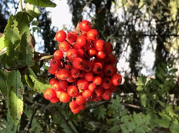Herbstferien